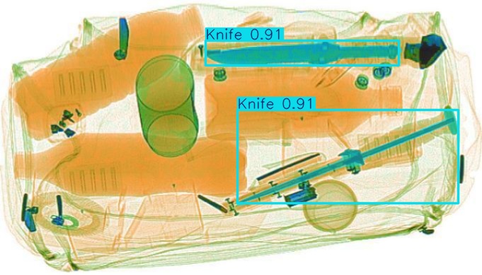 Detection preview by Segmentation_v8_large_300_train_300