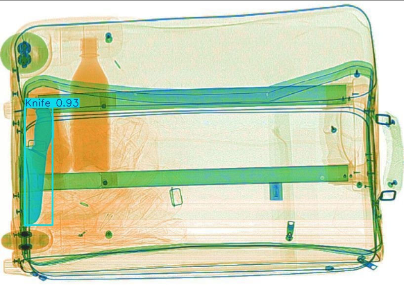 Detection preview by Segmentation_v8_large_300_train_300