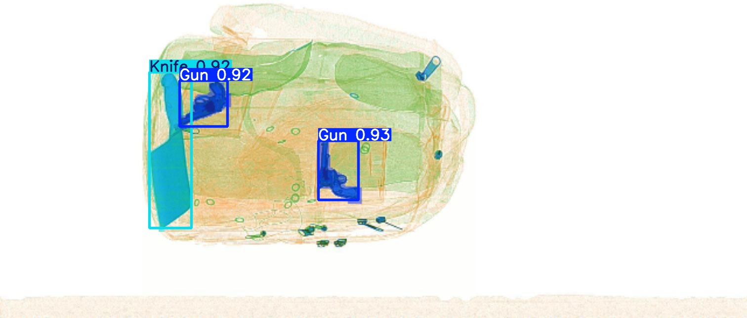 Detection preview by Segmentation_v8_large_300_train_300