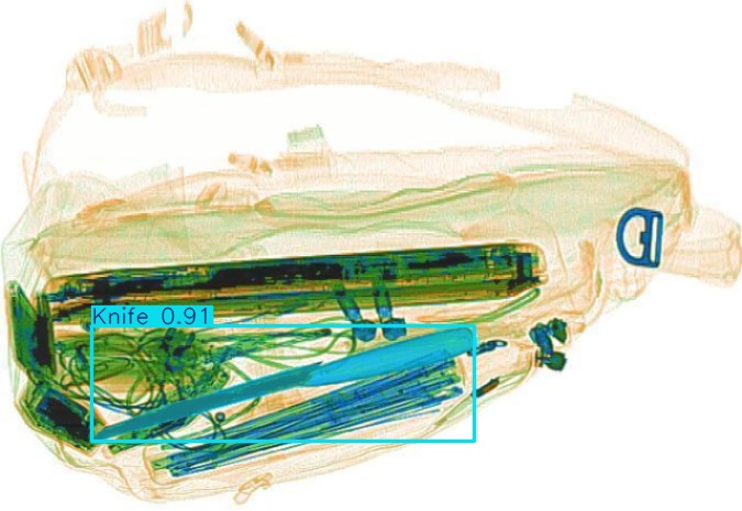 Detection preview by Segmentation_v8_large_300_train_300