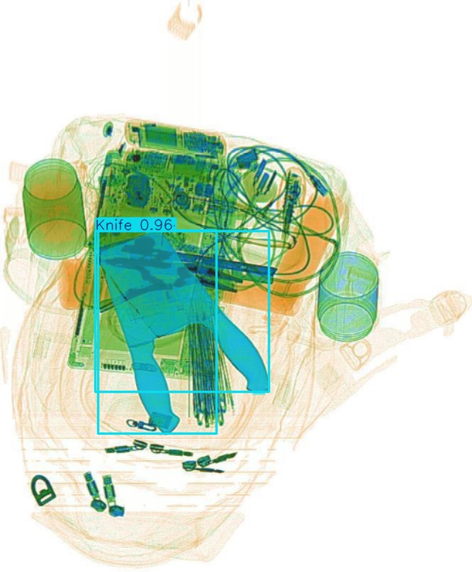 Detection preview by Segmentation_v8_large_300_train_300