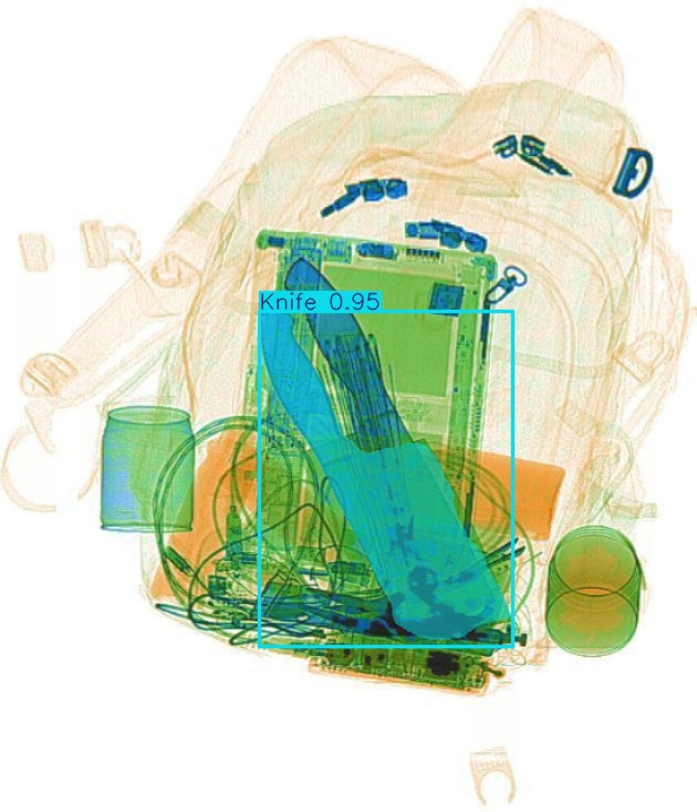 Detection preview by Segmentation_v8_large_300_train_300
