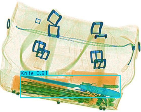 Detection preview by Segmentation_v8_large_300_train_300