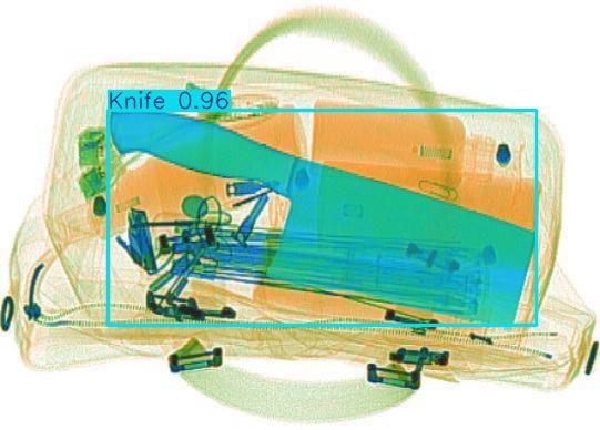Detection preview by Segmentation_v8_large_300_train_300