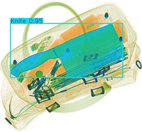 Detection preview by Segmentation_v8_large_300_train_300