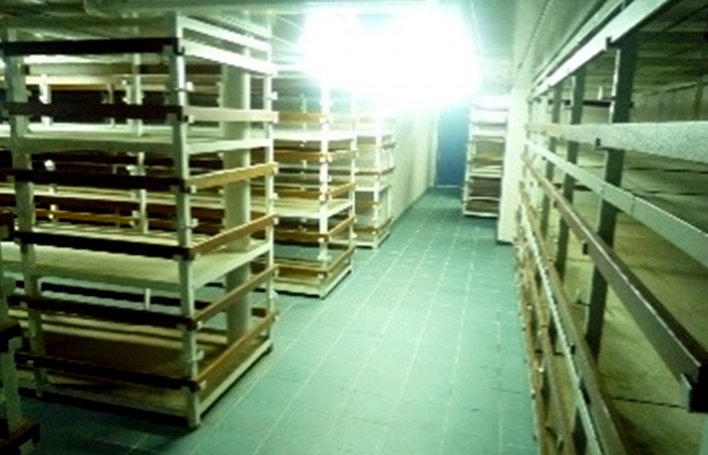 Work